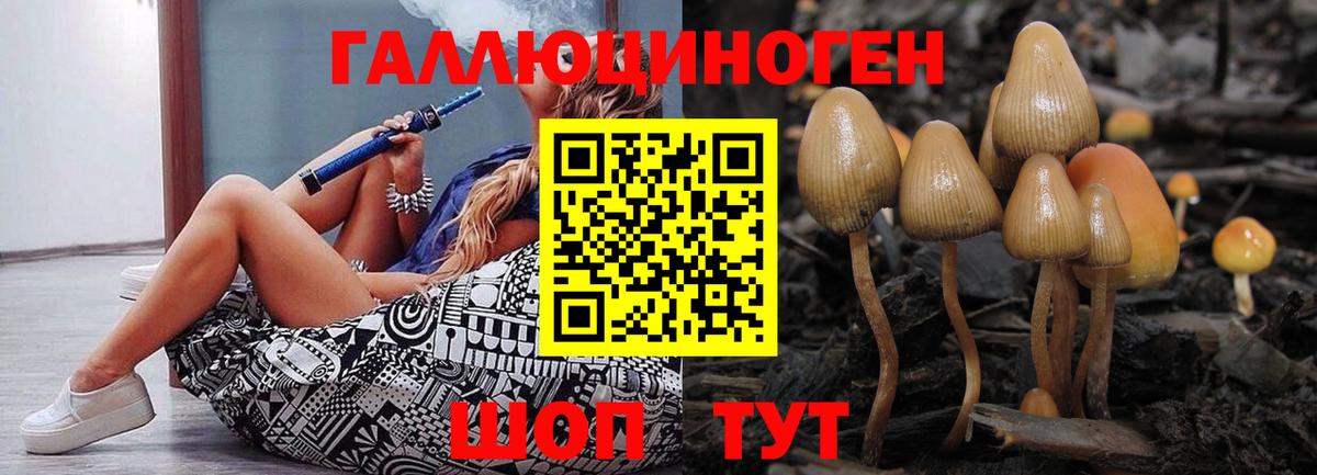 Псилоцибиновые грибы Cubensis  Вход с VPN  Валуйки 